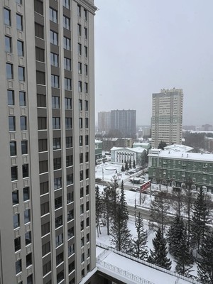 Продам двухкомнатную (2-комн.) квартиру, Красный пр-кт, 220, Новосибирск г
