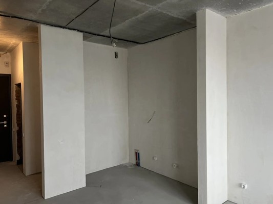 Продам двухкомнатную (2-комн.) квартиру, Красный пр-кт, 220, Новосибирск г