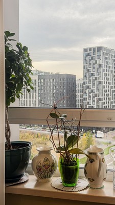 Продам однокомнатную (1-комн.) квартиру, Волоколамское ш, 71/22к3, Москва г