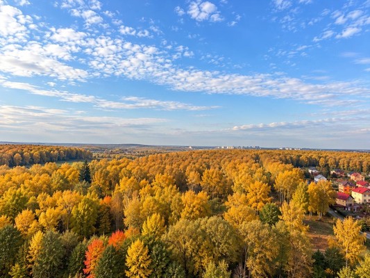 Продам однокомнатную (1-комн.) квартиру, Куприна пр-кт, 40к9, Сосенское п