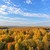 Продам однокомнатную (1-комн.) квартиру, Куприна пр-кт, 40к9, Сосенское п