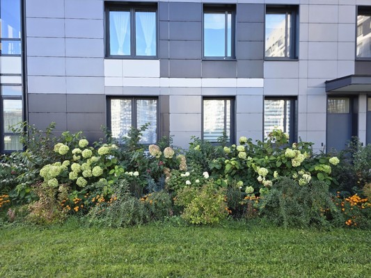 Продам двухкомнатную (2-комн.) квартиру, Дудергофского канала наб, 4к1, Санкт-Петербург г