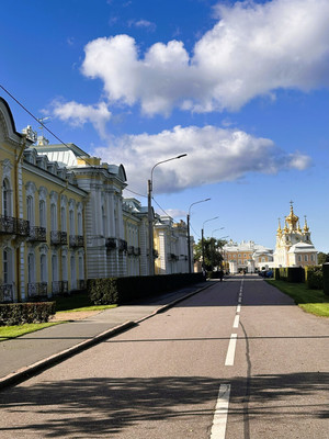 Продам трехкомнатную (3-комн.) квартиру, Санкт-Петербургский пр-кт, 33, Петергоф г