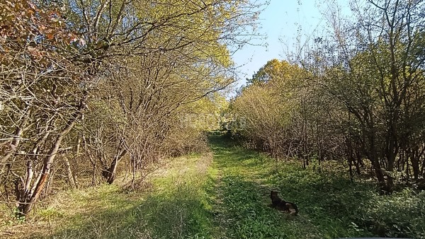 Продам участок 15 соток, ИЖС, Железнодорожная ул, Тверская ст-ца, 0 км от города