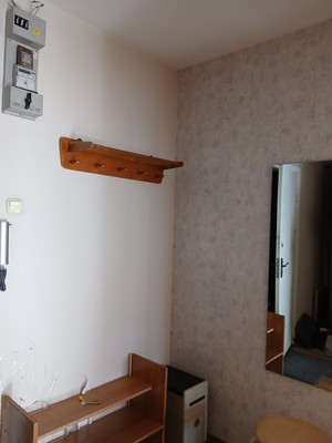 Продам однокомнатную (1-комн.) квартиру, Олеко Дундича ул, 25Ак4, Санкт-Петербург г
