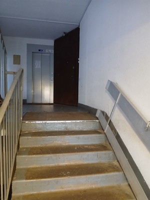 Продам однокомнатную (1-комн.) квартиру, Олеко Дундича ул, 25Ак4, Санкт-Петербург г