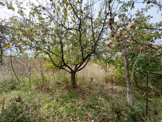 Продам дом, Заречная ул, 49, Стародеревянковская ст-ца, 0 км от города