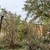 Продам дом, Заречная ул, 49, Стародеревянковская ст-ца, 0 км от города