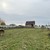 Продам дом, Школьная ул, 68А, Куликово с, 0 км от города