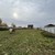 Продам дом, Школьная ул, 68А, Куликово с, 0 км от города