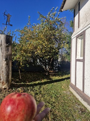 Продам дом, массив Новая Ропша тер, 0 км от города