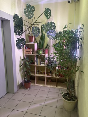 Продам двухкомнатную (2-комн.) квартиру, Зеленые аллеи б-р, 7, Видное г