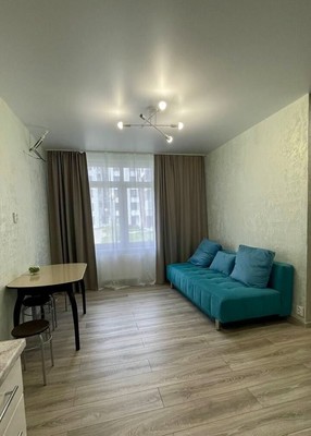 Продам однокомнатную (1-комн.) квартиру, Рахманинова ул, 13, Борисовка д