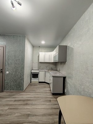 Продам однокомнатную (1-комн.) квартиру, Рахманинова ул, 13, Борисовка д