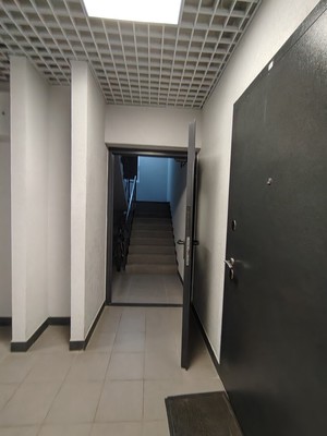 Продам однокомнатную (1-комн.) квартиру, Рахманинова ул, 13, Борисовка д