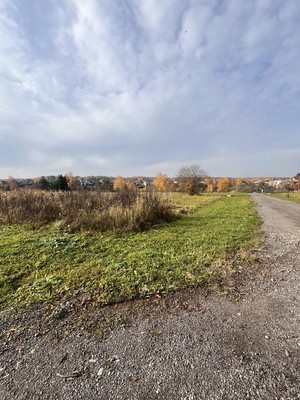 Продам участок 10,9 соток, Садоводство, ДНТ Степаньково тер, Огниково п, 0 км от города