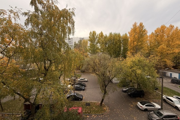 Продам трехкомнатную (3-комн.) квартиру, Рябиновая ул, 8к1, Москва г
