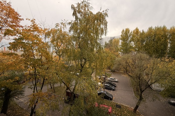 Продам трехкомнатную (3-комн.) квартиру, Рябиновая ул, 8к1, Москва г