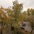 Продам трехкомнатную (3-комн.) квартиру, Рябиновая ул, 8к1, Москва г