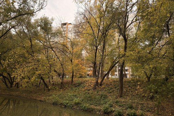 Продам трехкомнатную (3-комн.) квартиру, Рябиновая ул, 8к1, Москва г