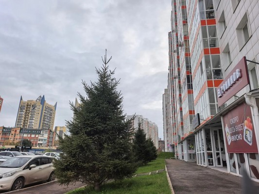 Продам двухкомнатную (2-комн.) квартиру, Вильского ул, 24, Красноярск г
