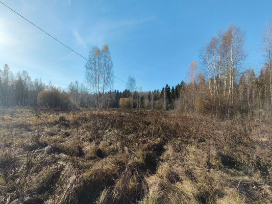 Продам участок 12 соток, Фермерское хоз., Кортис тер. СНТ, Холмы д, 0 км от города