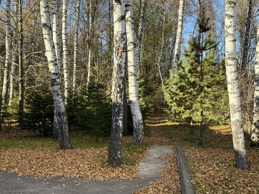 Продам дом, Парковая (Березовый парк тер. ДНП) ул, 29, Раменское г, 0 км от города