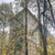 Продам двухкомнатную (2-комн.) квартиру, Мосфильмовская ул, 39к2, Москва г
