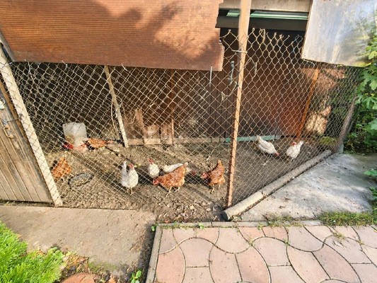 Продам дом, Алычовая (Автомобилист-2 тер. СНТ) ул, Знаменский п, 0 км от города