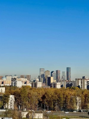 Продам трехкомнатную (3-комн.) квартиру, Малая Очаковская ул, 1к2, Москва г