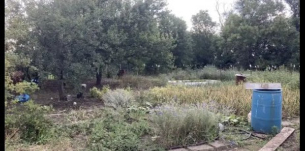 Продам дачу, 313, Комбайностроитель тер. СНТ, 0 км от города