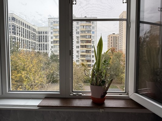Продам однокомнатную (1-комн.) квартиру, Есенинский б-р, 9к4, Москва г