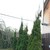 Продам дом, Заовражная ул, 104А, Покров с, 0 км от города