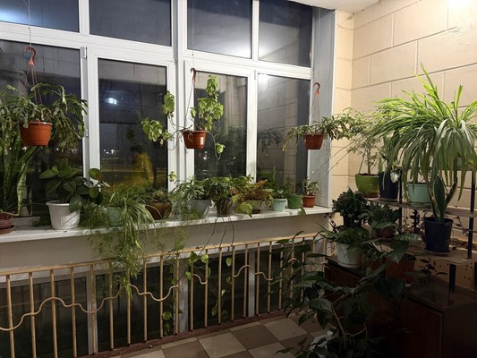 Продам комнату в 4-комн. квартире, Университетский пр-кт, 9, Москва г