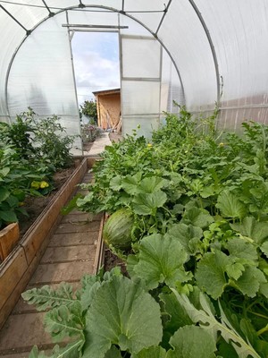 Продам дачу, Ветеран тер. СНТ, 0 км от города