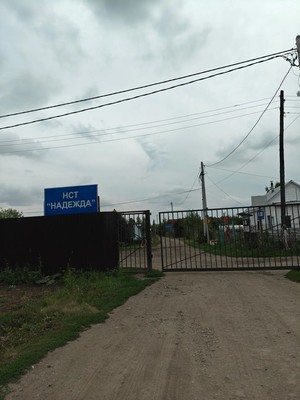 Продам дачу, Ветеран тер. СНТ, 0 км от города