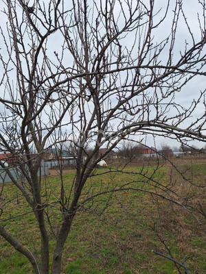 Продам участок 4 соток, ИЖС, Пролетарская ул, 171, Казанская ст-ца, 0 км от города
