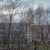 Продам однокомнатную (1-комн.) квартиру, Школьная ул, 4, Красково п