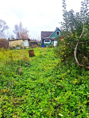 Продам дачу, Луч тер. ДНП, 0 км от города