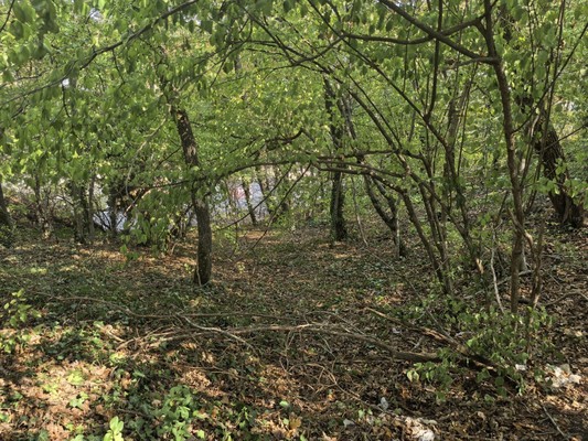 Продам участок 5,8 соток, Фермерское хоз., Синайская ул, Цемдолина с, 0 км от города