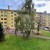 Продам однокомнатную (1-комн.) квартиру, Лесной пр-кт, 37к4, Санкт-Петербург г