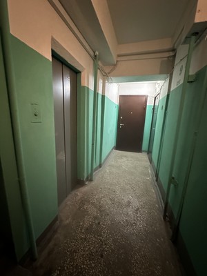 Продам трехкомнатную (3-комн.) квартиру, Ямашева пр-кт, 87, Казань г