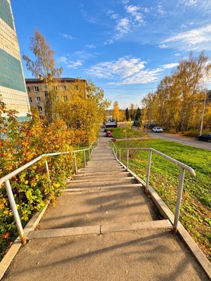 Продам однокомнатную (1-комн.) квартиру, Большевистская ул, 21, Яхрома г
