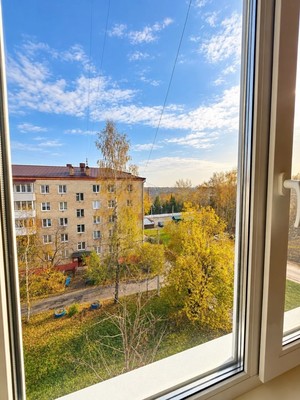 Продам однокомнатную (1-комн.) квартиру, Большевистская ул, 21, Яхрома г