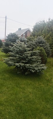 Продам дом, Малиновая ул, 4, Санино д, 0 км от города