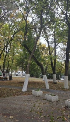 Продам трехкомнатную (3-комн.) квартиру, Гагарина ул, 20, Симферополь г