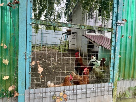 Продам дом, Кокино д, 0 км от города