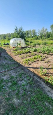 Продам дом, Жуковского ул, Казанское с, 0 км от города