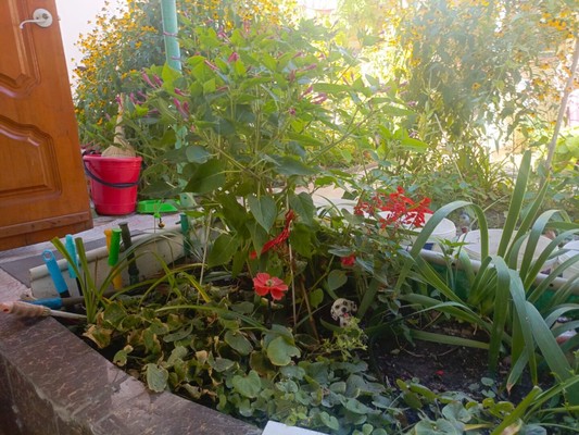 Продам дом, Седова ул, 85, Ростов-на-Дону г, 0 км от города