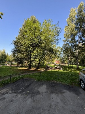 Продам однокомнатную (1-комн.) квартиру, Александровская ул, 28, Ломоносов г